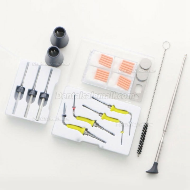 Denjoy Freefill Cordless Dental Endodonotic Gutta Percha Endo Obturation System Kit
